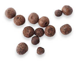 Joint Genesis™ Biodynamix 