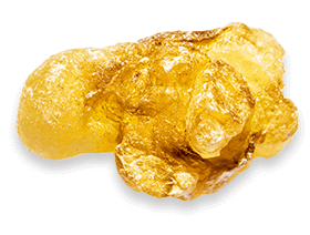 Joint Genesis™ Biodynamix 